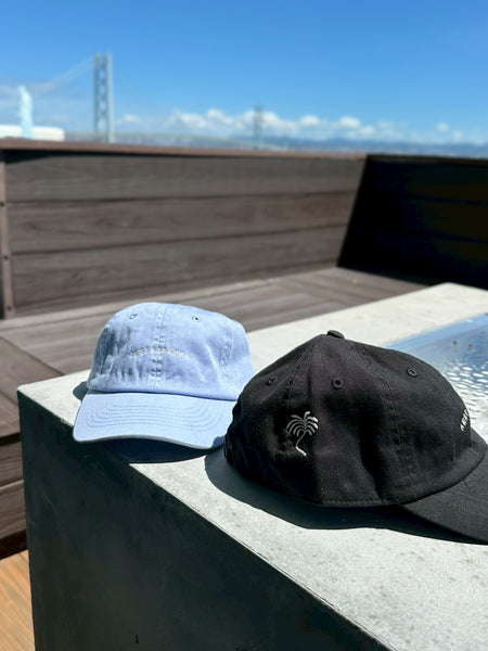 LOGO TERRA CAP【ordermade】