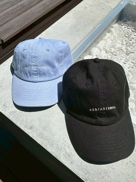 LOGO TERRA CAP【ordermade】